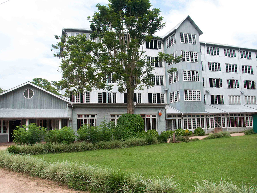 Tea Factory
