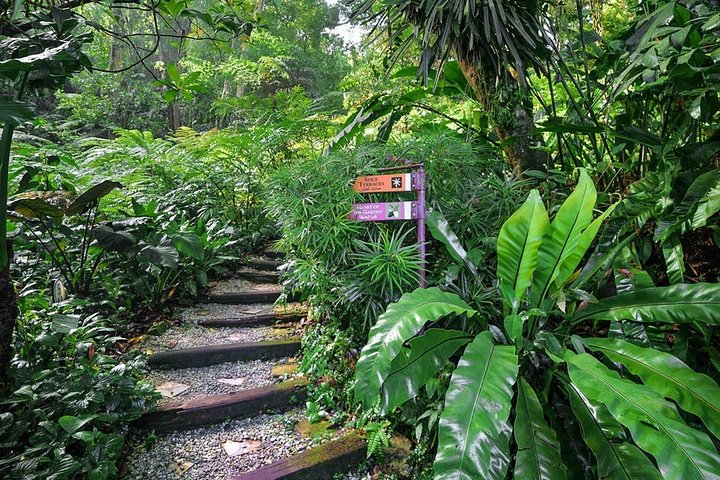 Herbal Garden