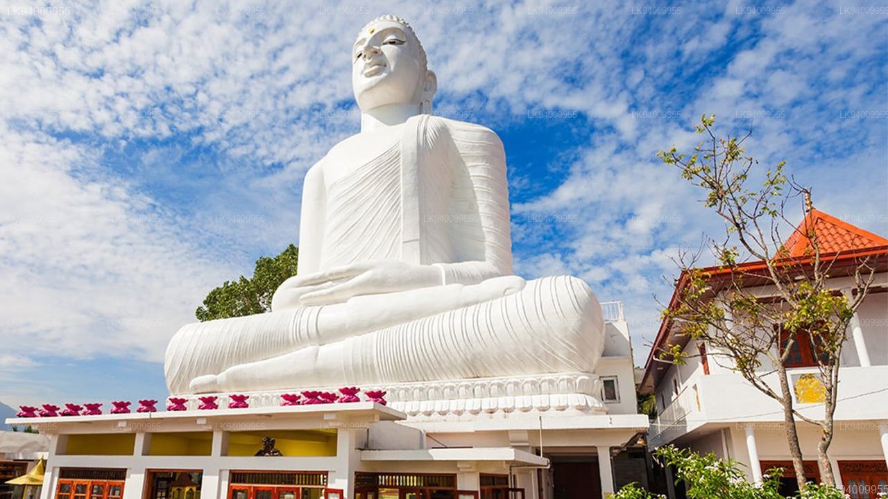 Big Buddha