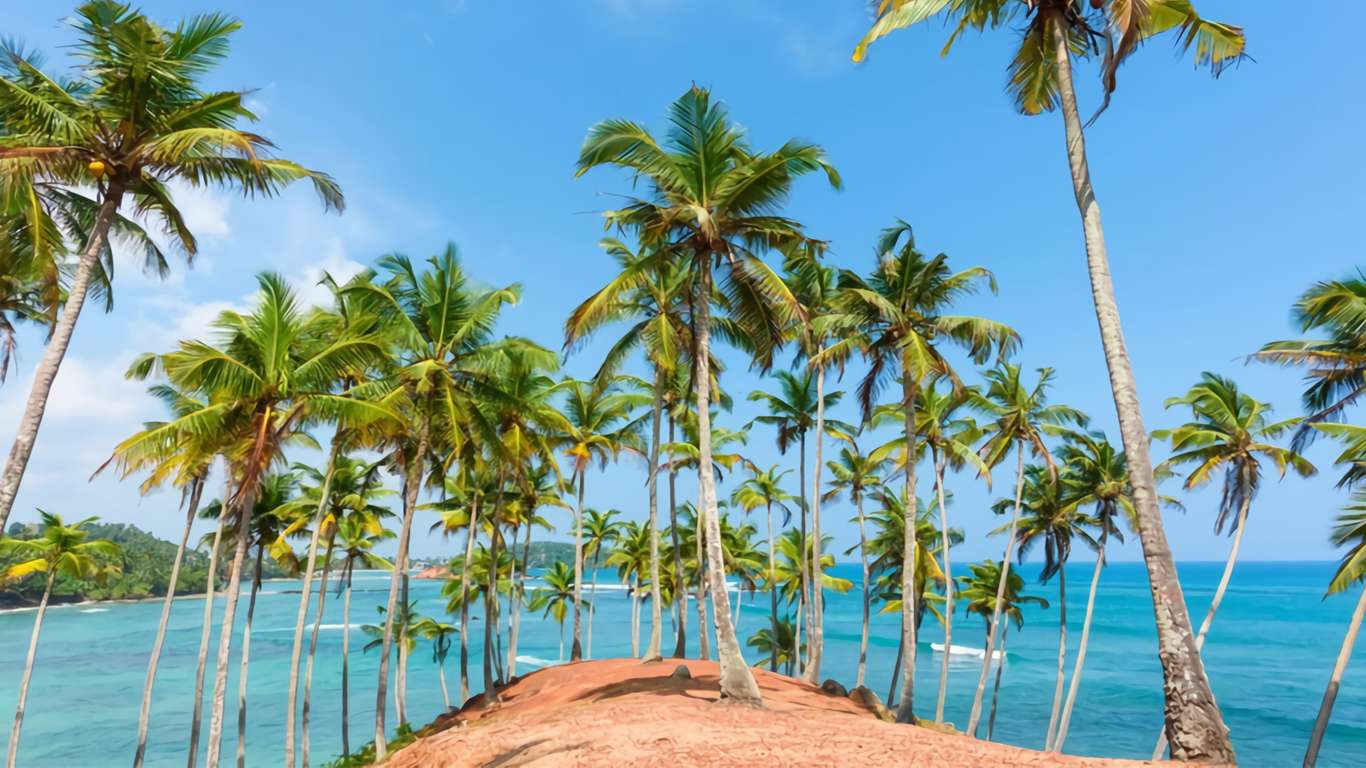 mirissa