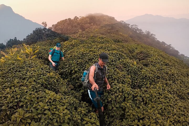 Hiking