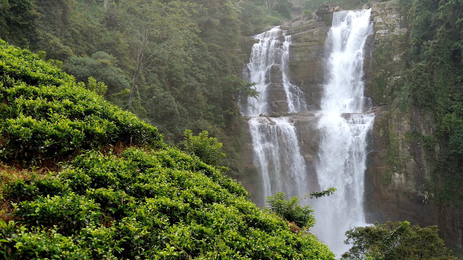 Nuwara Eliya